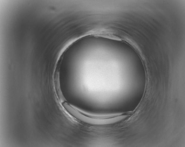 X0000062881344200601271612