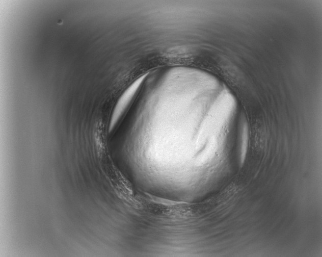 X0000062881346200601271611