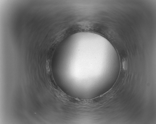 X0000062881347200601271611