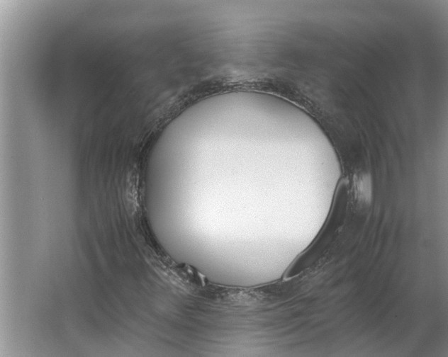 X0000062881348200601271611