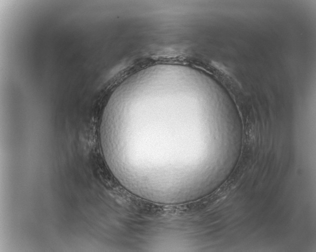 X0000062881350200601271611