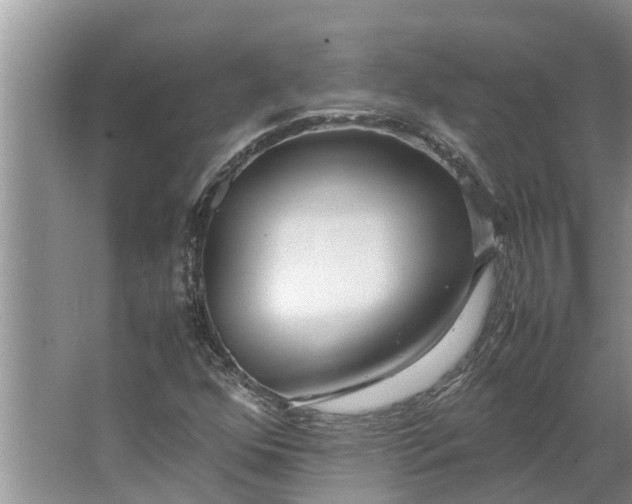 X0000062881352200601271611