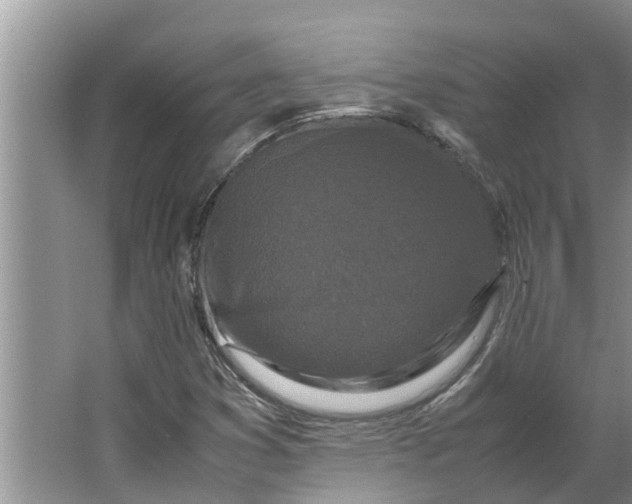 X0000062881353200601271611