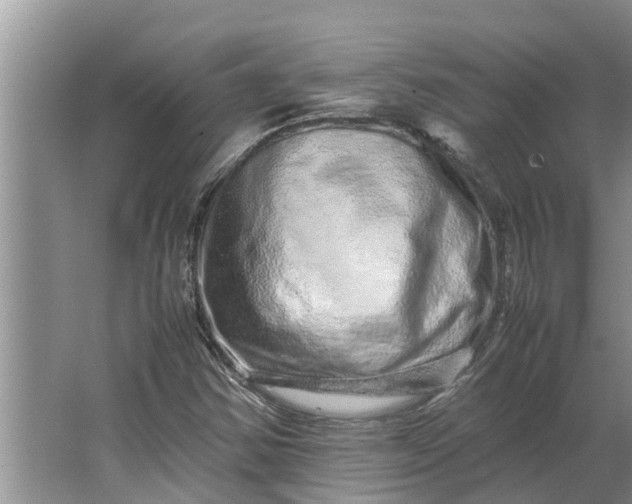 X0000062881354200601271611