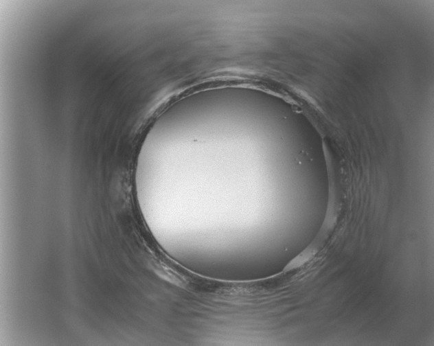 X0000062881355200601271611