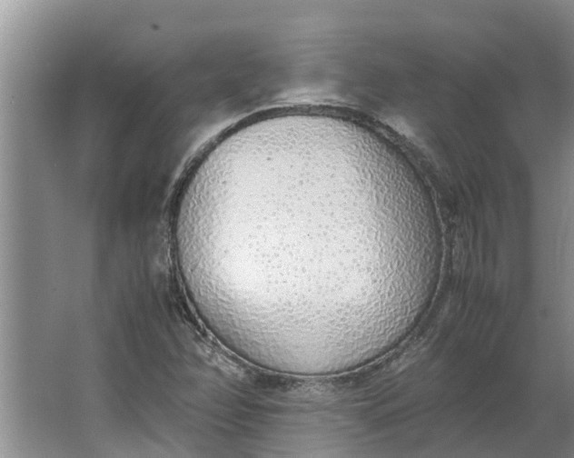 X0000062881358200601271611