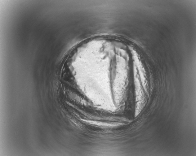 X0000062881359200601271611