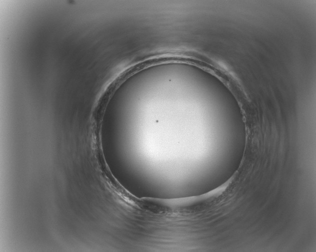 X0000062881360200601271611