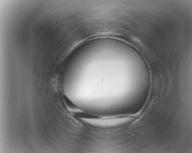 X0000062881361200601271611