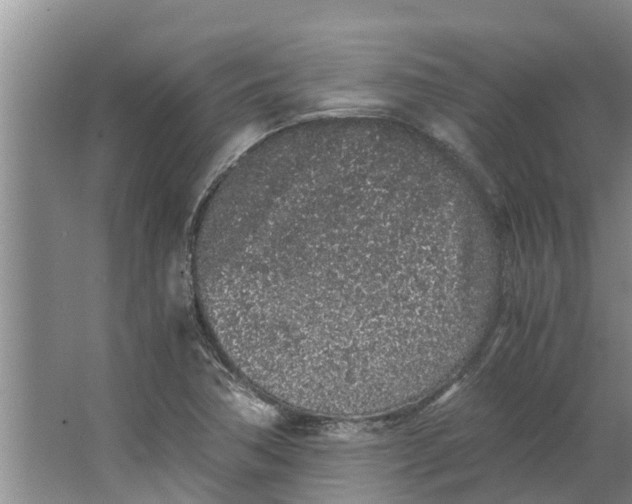 X0000062881362200601271611