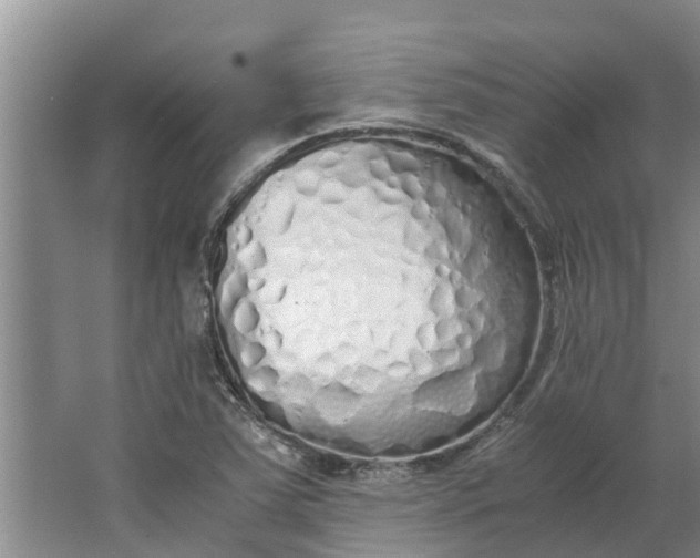 X0000062881363200601271611