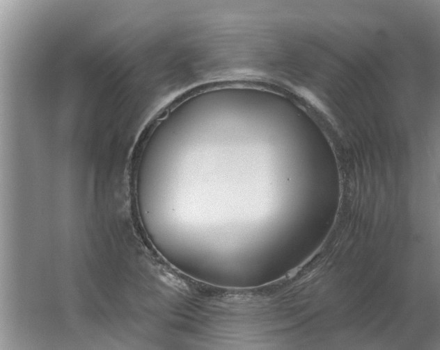 X0000062881364200601271611