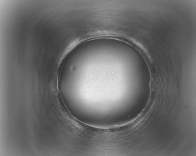 X0000062881365200601271611