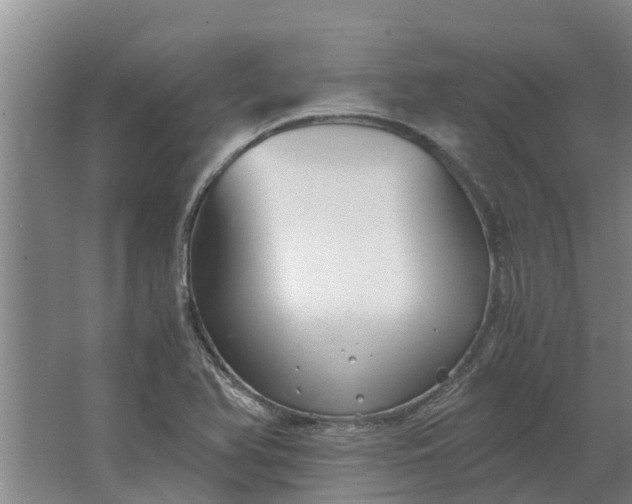 X0000062881366200601271611