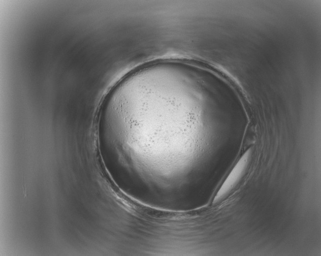 X0000062881367200601271611