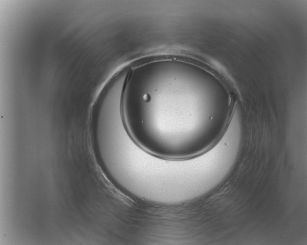 X0000062881368200601271611