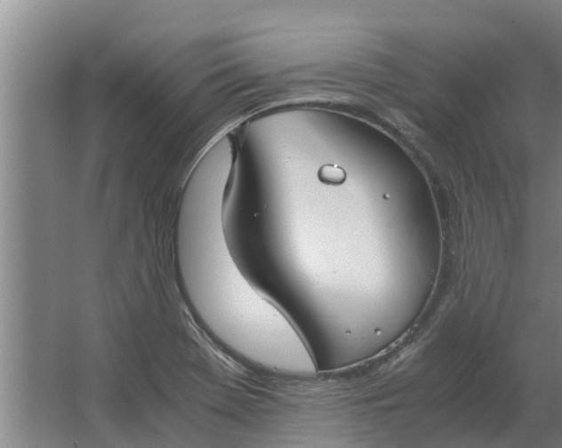 X0000062881369200601271611