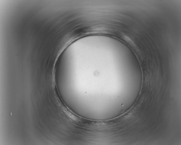 X0000062881370200601271611