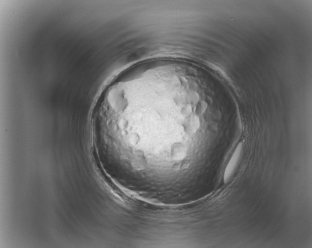 X0000062881371200601271611