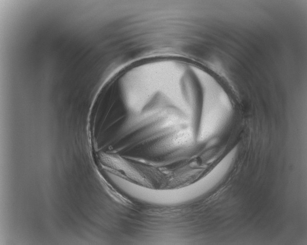 X0000062881372200601271611