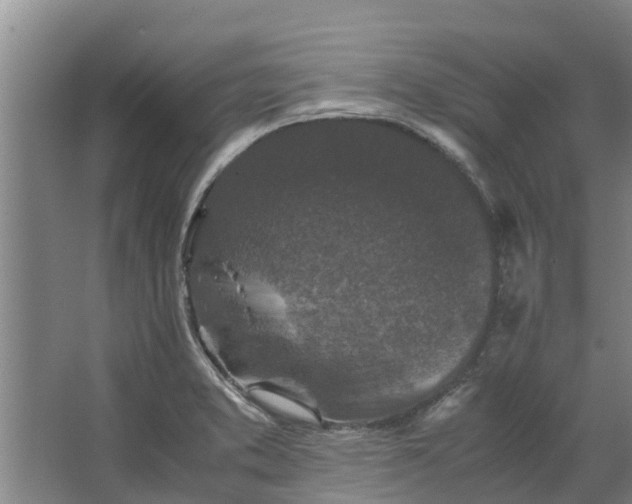 X0000062881373200601271611