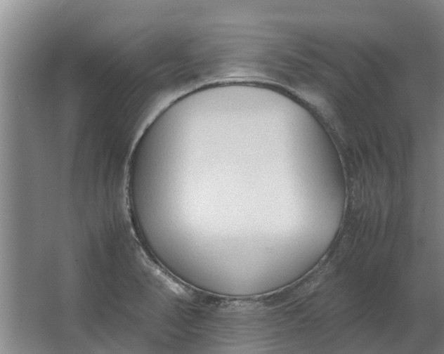 X0000062881374200601271610