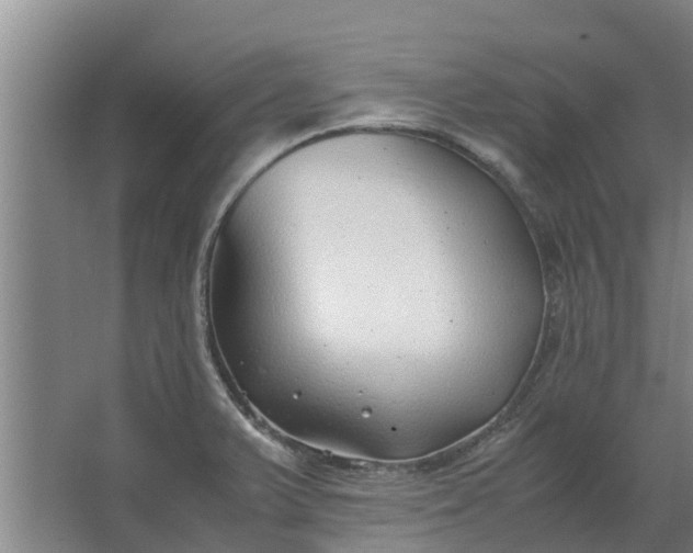 X0000062881375200601271610