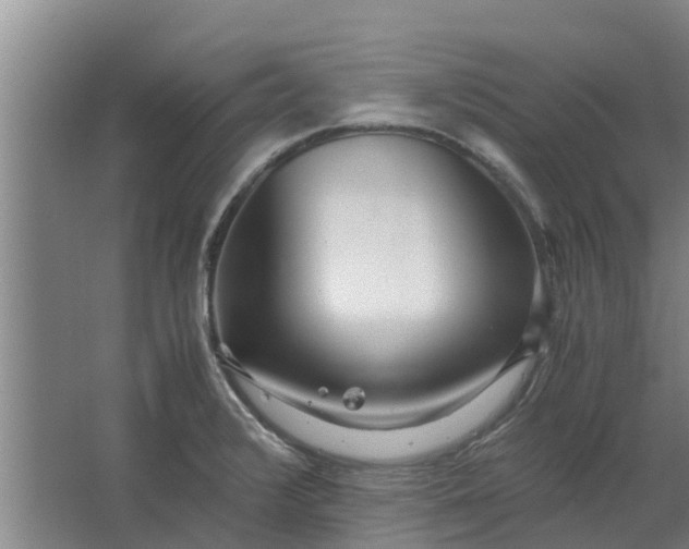 X0000062881376200601271610