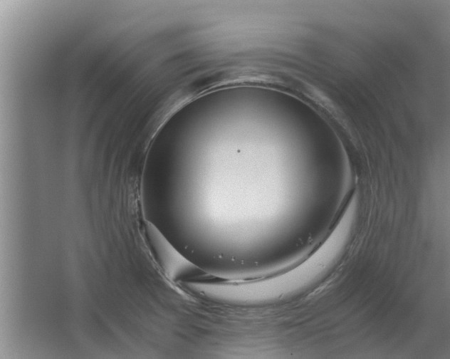 X0000062881377200601271610