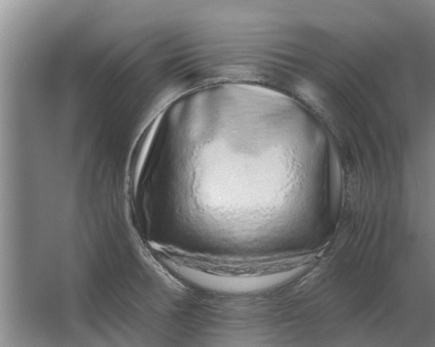 X0000062881378200601271610