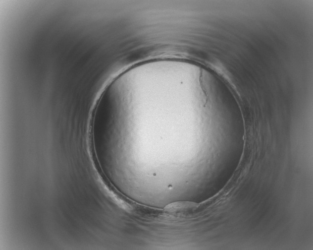 X0000062881379200601271610