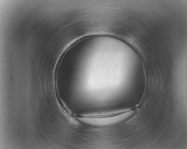 X0000062881380200601271610