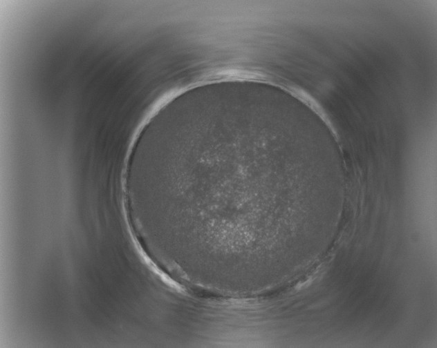 X0000062881381200601271610