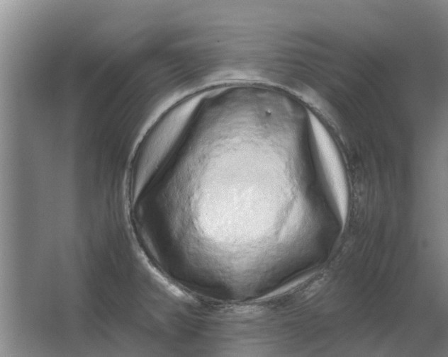 X0000062881382200601271610