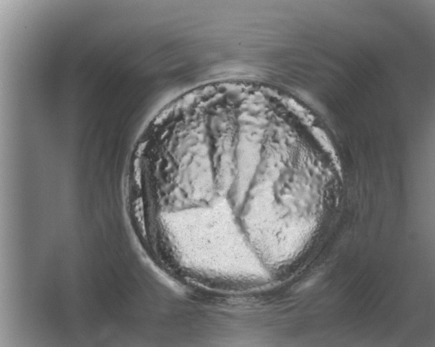 X0000062881383200601271610