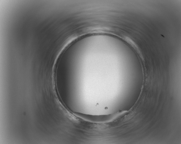 X0000062881384200601271610