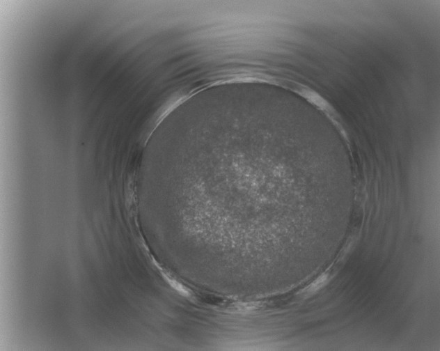 X0000062881385200601271610