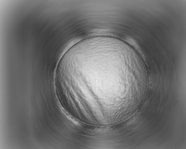 X0000062881386200601271610