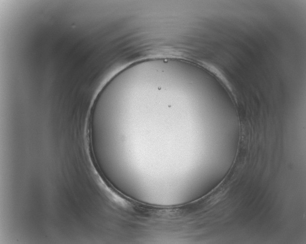 X0000062881387200601271610