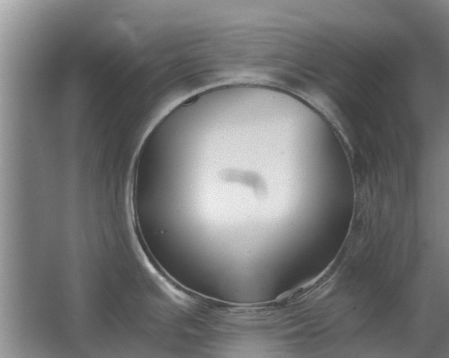 X0000062881391200601271610