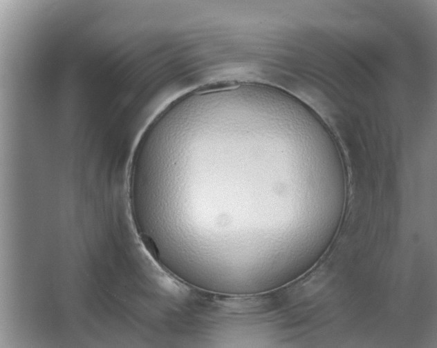 X0000062881392200601271610