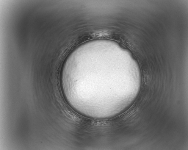 X0000062881393200601271609