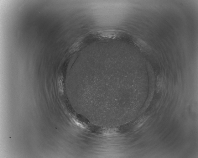 X0000062881394200601271609