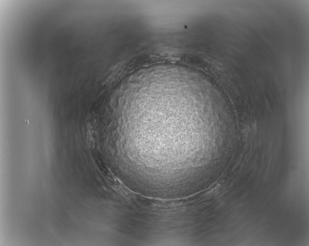 X0000062881397200601271609