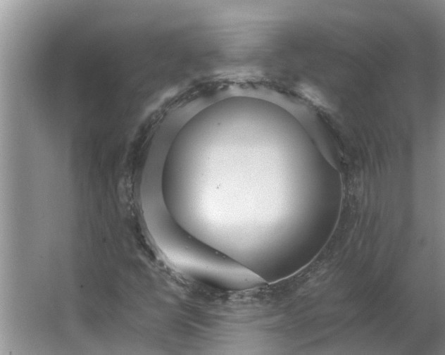 X0000062881398200601271609