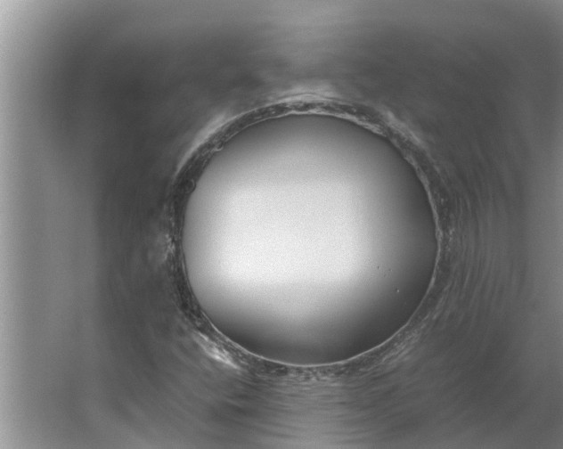 X0000062881400200601271610