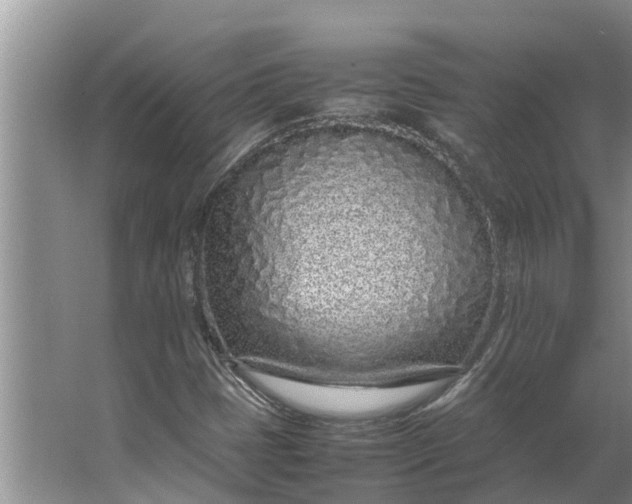 X0000062881401200601271610