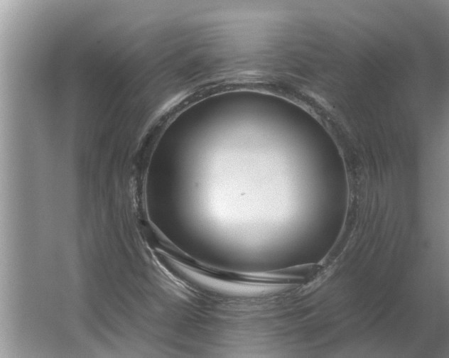 X0000062881402200601271610