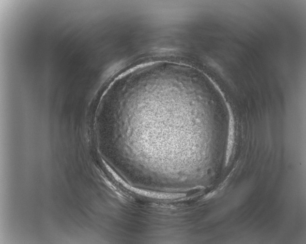 X0000062881405200601271610