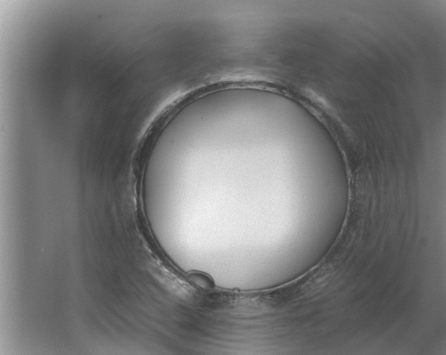 X0000062881408200601271610